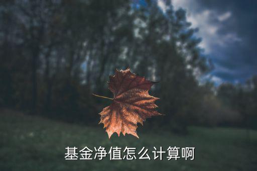  基金凈值怎么計算啊