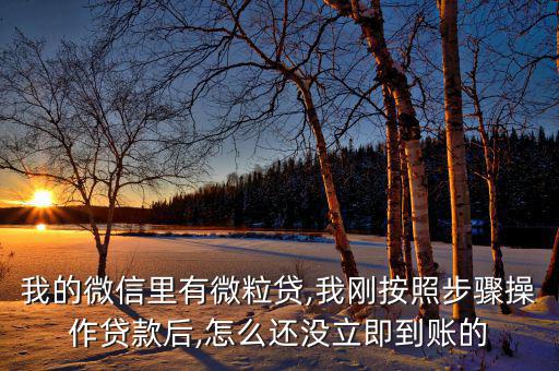 嗨秒貸顯示分期成功怎么沒到賬,貸款須滿足哪四點(diǎn)?