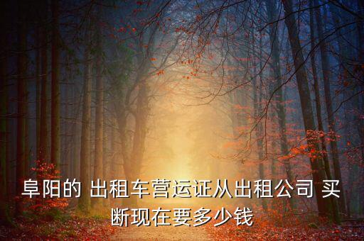 阜陽的 出租車營(yíng)運(yùn)證從出租公司 買斷現(xiàn)在要多少錢