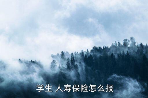 學(xué)生 人壽保險怎么報