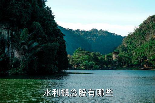 安徽水利股票怎么樣,水利股份、證券股龍頭股名單出爐