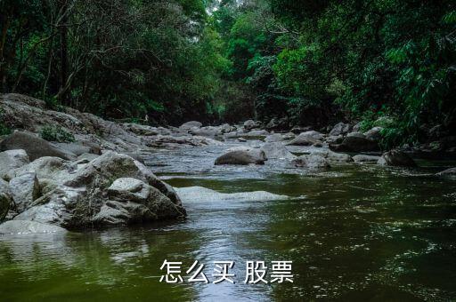 新股票怎么買(mǎi)進(jìn),新股開(kāi)閘后可買(mǎi)什么股票?