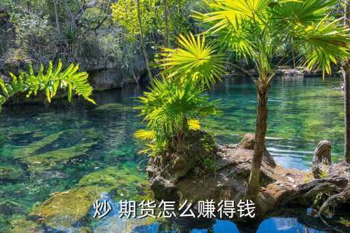 怎么做期貨才能賺錢(qián),怎樣才能買(mǎi)入期貨?