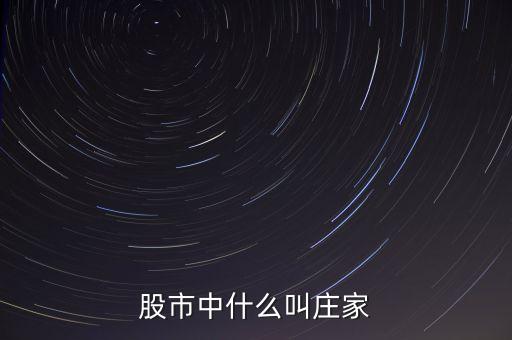 什么莊家股票，股票的莊家是指
