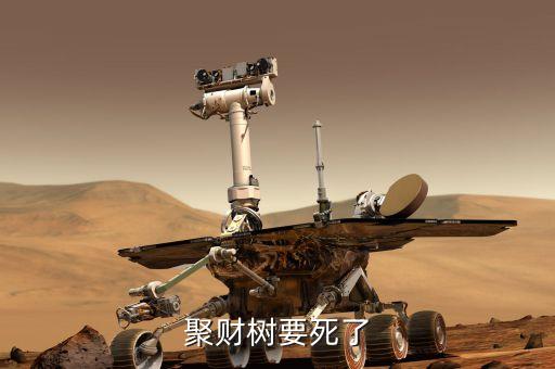 聚才樹能用什么肥，聚財(cái)樹要死了
