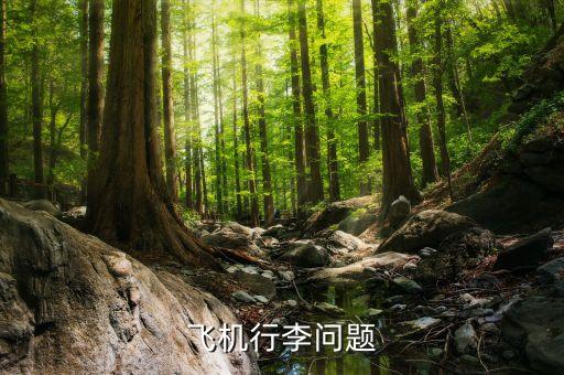 航空公司可以拒載什么傷人，憑什么飛機可以拒載