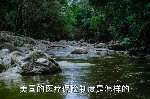 美國醫(yī)療體系中保險(xiǎn)控制醫(yī)療是指什么，美國的醫(yī)療保險(xiǎn)制度是怎樣的