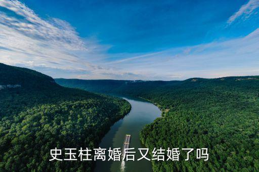 程晨和史玉柱什么關(guān)系，程晨是不是就是史玉柱和他身后的女人中那個化名為汪嫣的女的