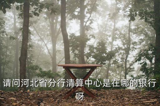 河北省分行清算中心是什么，請(qǐng)問河北省分行清算中心是在哪的銀行呀