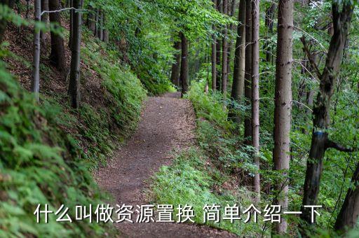 資源置換什么意思，什么是廣告資源置換