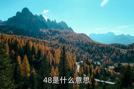老干媽48是什么，老干媽是什么東西啊