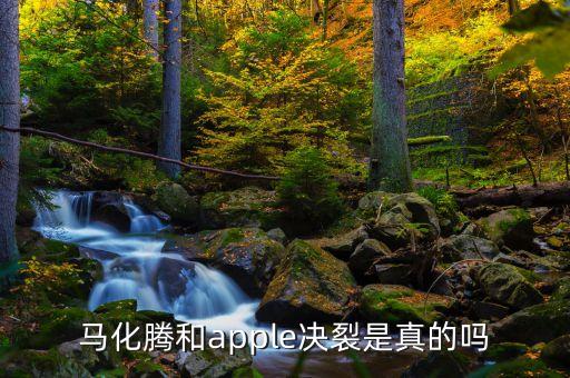 馬化騰為什么不干了，為什么馬化騰做不了中國(guó)第一富