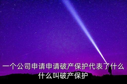 申請破產(chǎn)保護是什么意思，破產(chǎn)保護是什么意思