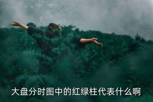 大盤分時線隨近的柱代表什么，股票分時圖下面黃藍白柱各表示什么