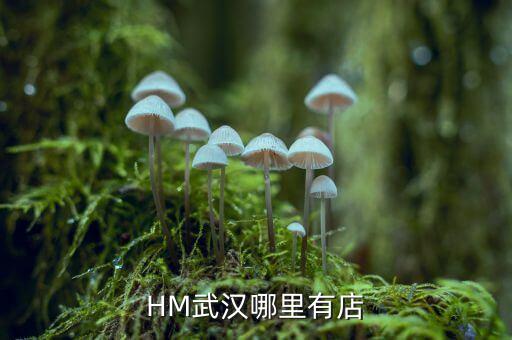 武漢禧h酒店什么時(shí)間開業(yè)，武漢哪里有快開張的酒店