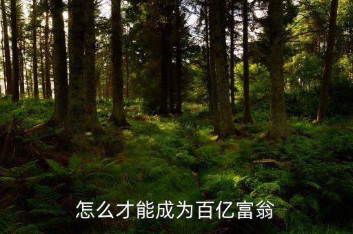 拿什么沖百億，怎么才能成為百億富翁