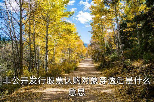 穿透披露是什么意思，非公開發(fā)行股票認(rèn)購對象穿透后是什么意思
