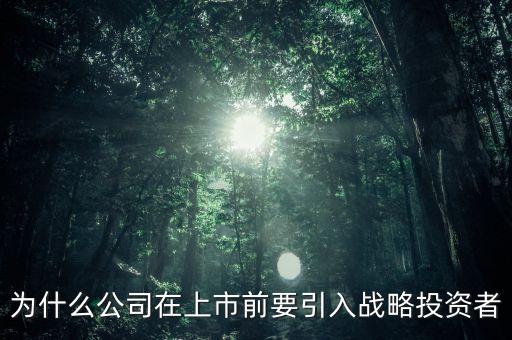 上市為什么要引入風(fēng)投，為什么公司在上市前要引入戰(zhàn)略投資者