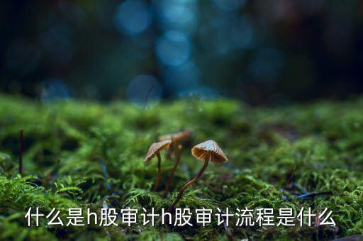 H股審計(jì)是什么意思，香港上市公司的審計(jì)與內(nèi)地審計(jì)有什么區(qū)別