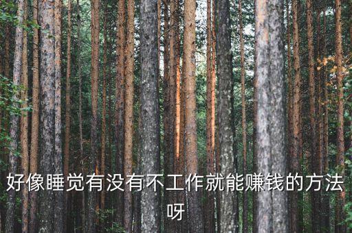 什么事可以睡著賺錢，上晚班晚上八點(diǎn)上到早晨六點(diǎn)期間可以睡覺(jué)我想白天在干點(diǎn)賺錢