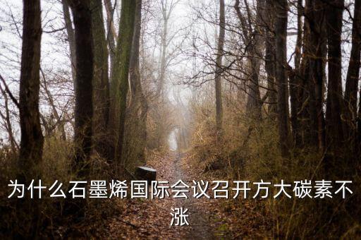 炭素與石墨烯是什么關系，石墨烯是有碳原子構成的單層片狀的新材料可由石墨剝離而成具有