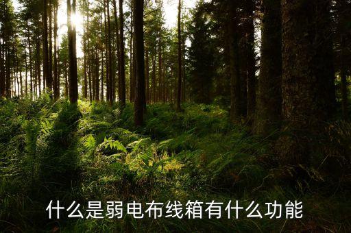 什么是弱電布線箱有什么功能