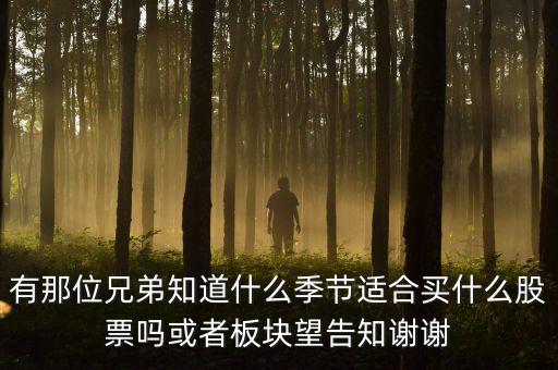 秋天什么股，秋季什么板塊股票好