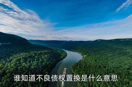 什么是不良資產(chǎn)置換，誰知道不良債權(quán)置換是什么意思