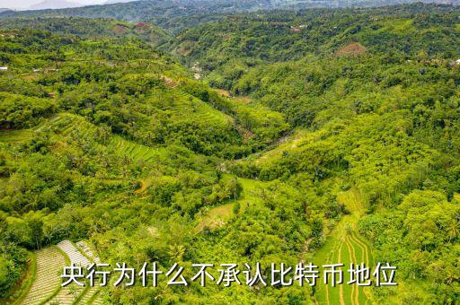 為什么中央不承認比特，中美為什么不承認比特幣的合法性
