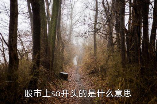 so股票什么意思，股市上so開頭的是什么意思