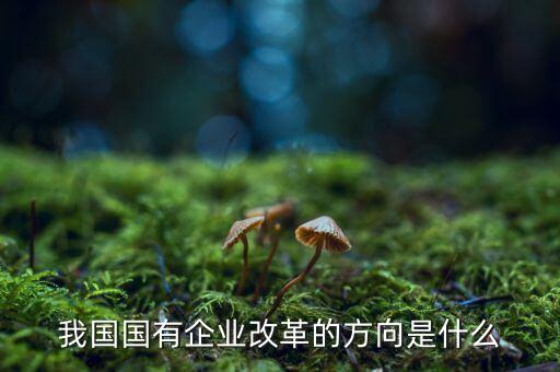 企業(yè)改革方向是什么，我國國有企業(yè)改革的方向是什么