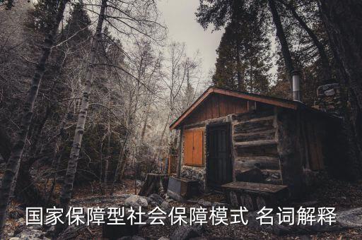 保障型保險什么意思，國家保障型社會保障模式 名詞解釋