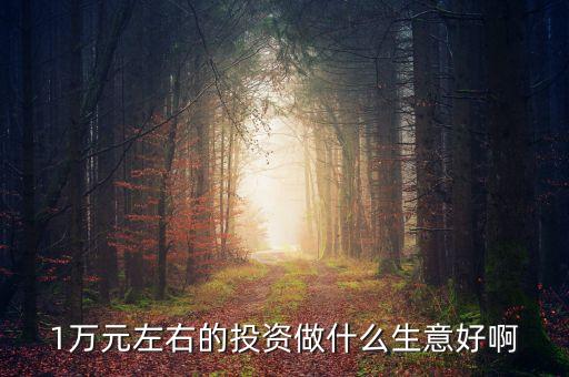 萬投資什么好，有10000元錢拿來做什么最好或者投資什么最好