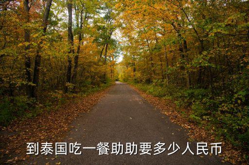 助幣是什么意思，到泰國吃一餐助助要多少人民幣