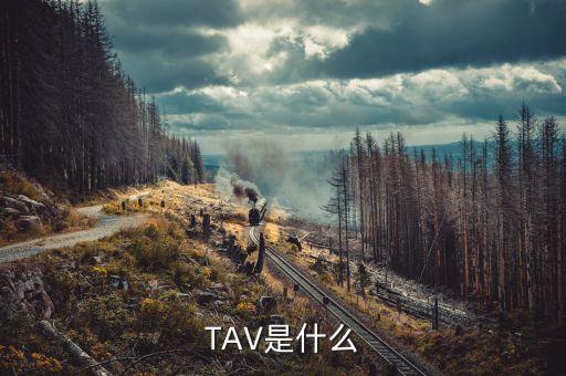 什么是孕線，TAV是什么