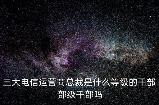 溫冬芬是什么級別，安徽省天長市市委書記的行政級別是什么