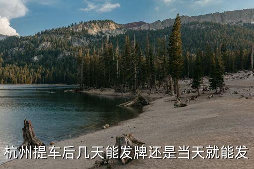 杭州車牌什么時候發(fā)放，杭州車牌拍好多久拿到