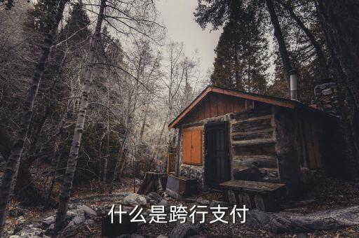 什么是跨行清算，什么叫跨行