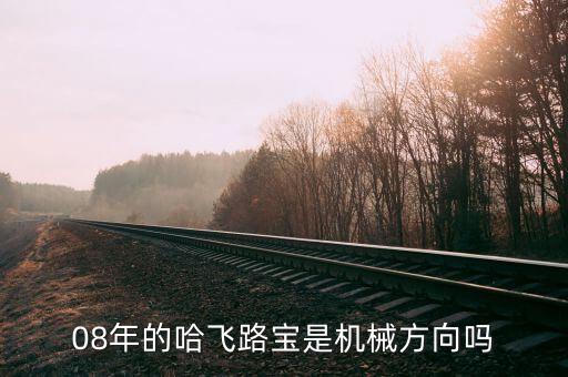 哈飛集團(tuán)用什么專業(yè)，08年的哈飛路寶是機械方向嗎