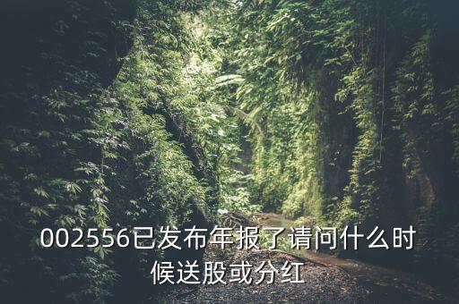 深圳能源什么時候送股，深圳能源什么時候送股