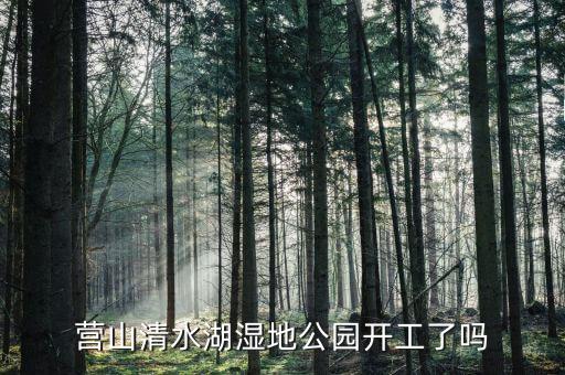 岱湖濕地什么開(kāi)工，營(yíng)山清水湖濕地公園開(kāi)工了嗎