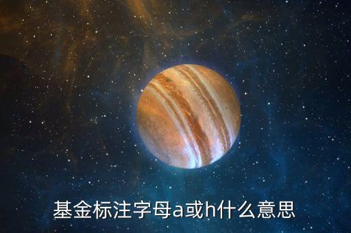 基金中的房地產(chǎn)a卷商a是什么意思，基金標(biāo)注字母a或h什么意思