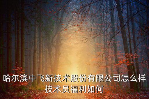 中飛股份公司做什么的，哈爾濱中飛新技術(shù)股份有限公司怎么樣技術(shù)員福利如何
