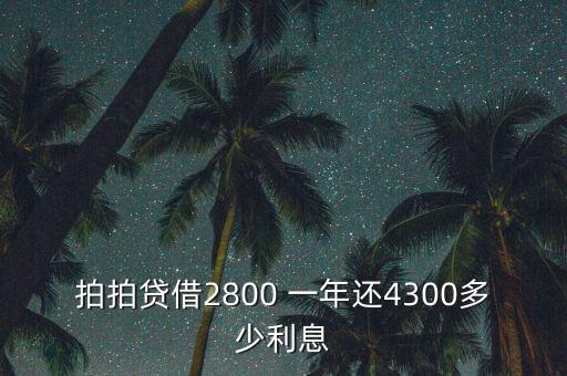什么是拍拍貸，拍拍貸借2800 一年還4300多少利息
