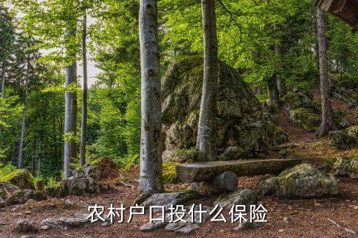 農(nóng)村買的保險是什么保險，農(nóng)民需要買什么保險