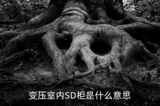 授軍旗為什么在室內(nèi)，變壓室內(nèi)SD柜是什么意思