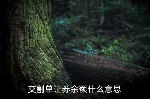 交割單中的剩余金額是什么，中原證券交割單里的本次金額什么意思