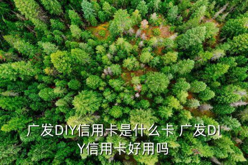 什么是diy信用卡，廣發(fā)DIY信用卡是什么卡 廣發(fā)DIY信用卡好用嗎