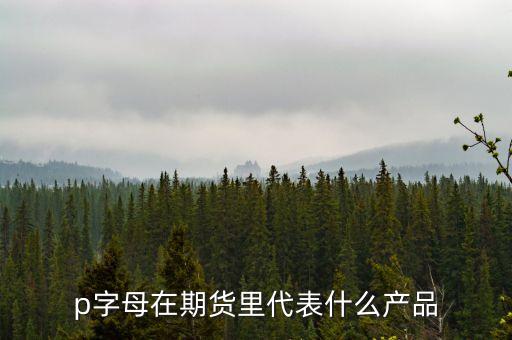 pp是什么期貨，聚丙烯期貨是什么