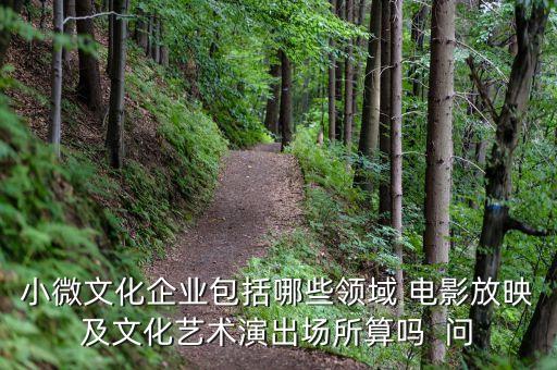 小微文化企業(yè)具體指什么，小微文化企業(yè)包括哪些領(lǐng)域 電影放映及文化藝術(shù)演出場所算嗎  問